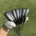 Yamahero S550 Golf Iron Set Hollow Forged 4‑P Irons (2)
